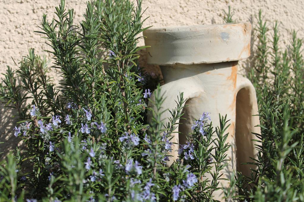 Вілла Agriturismo Il Mirtillo B,B Pasturo Екстер'єр фото