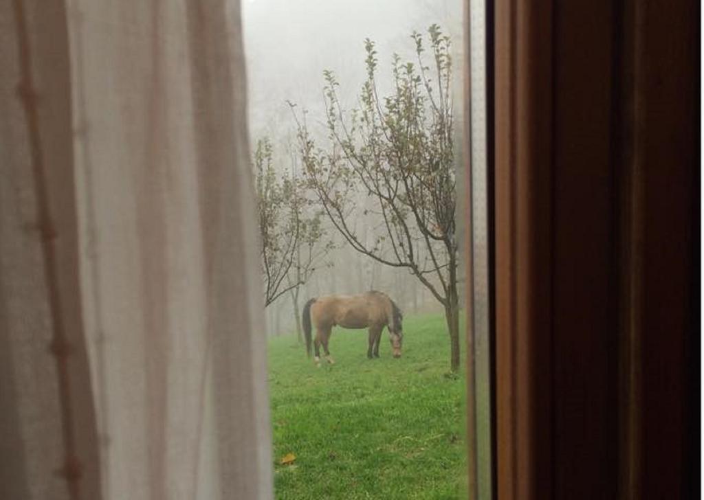 Вілла Agriturismo Il Mirtillo B,B Pasturo Екстер'єр фото