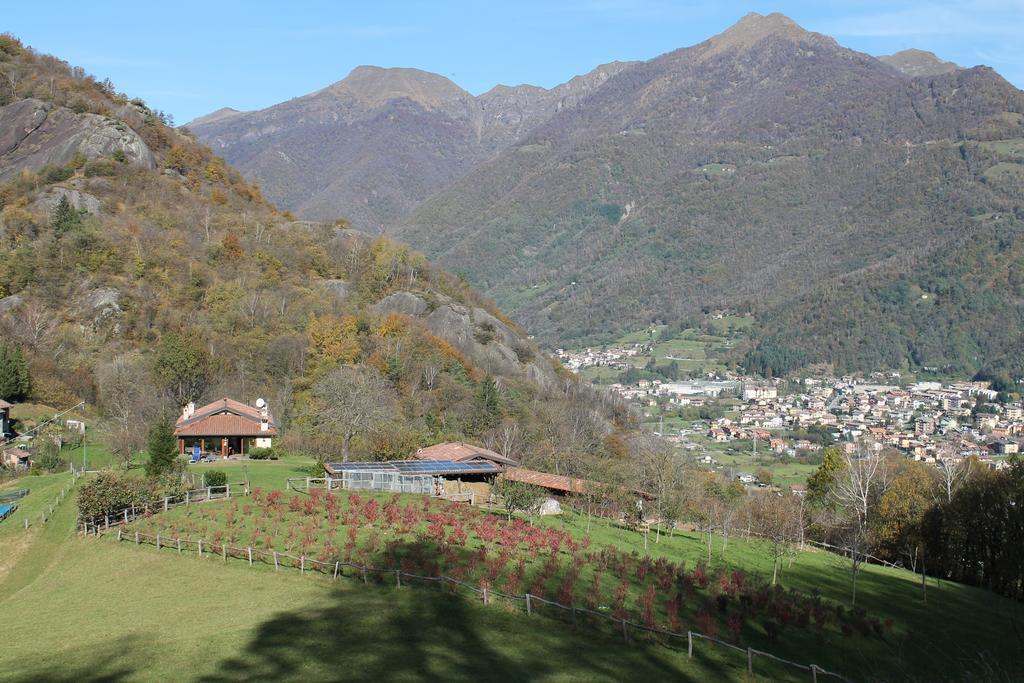 Вілла Agriturismo Il Mirtillo B,B Pasturo Екстер'єр фото